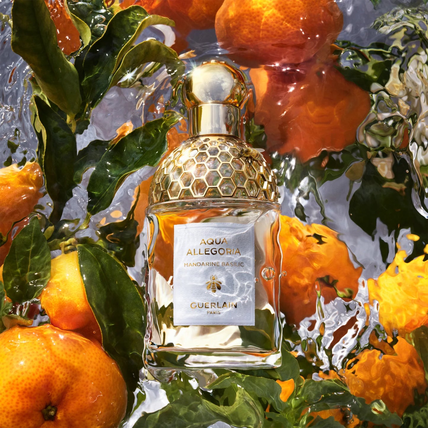 Aqua Allegoria Mandarine Basilic Eau De Toilette Spray By Guerlain